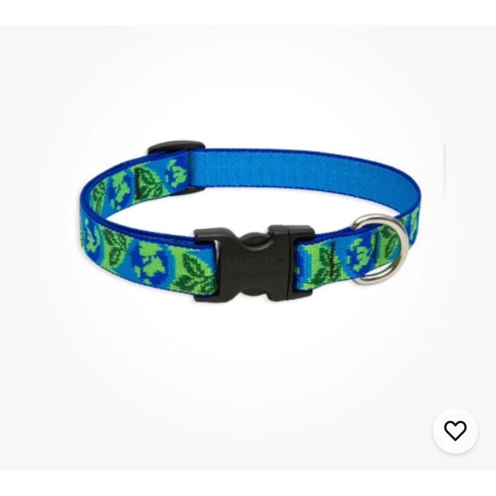 Lupine Pet Dog Collar Earth Day - 3/4 Inch width NWOT 13-22